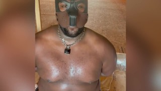 Pup Presents For Your Pleasure (TEASER)