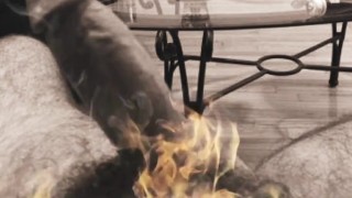 David the hairy bear-back versatile cub