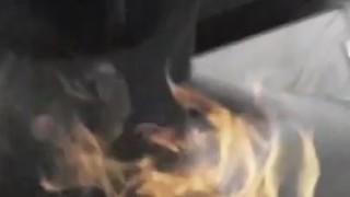 Hairy bear is on fire.