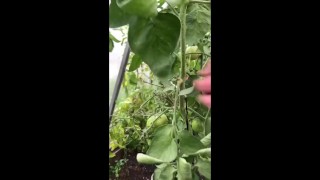 boy jerks off his dick in the garden