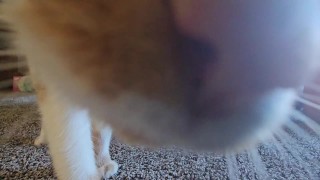 Naughty step daddy gets what he wants!