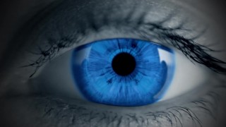 Cuckboys Part 1 / MEN / DeAngelo Jackson, Markus Kage