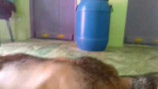 Mayanmandev pornhub indian male video - 223