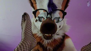 Furry Femboy Getting Bent In Half And Roughly Fucked With A Strap On! (In Fullsuit)