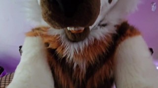 Furry Femboy Getting Bent In Half And Roughly Fucked With A Strap On! (In Fullsuit)