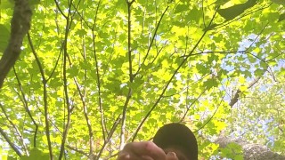 Jerking off in woods by water