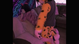 Humping Wuffles into the Couch