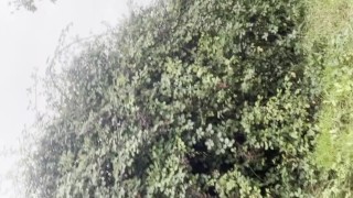 Risky public masturbation in lingerie. Public wank. Risky wank. Public cumshot. Risky cumshot. Sissy