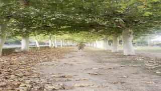 Risky Flash Cock In The Street, Cruising Gay Video