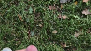 Jerking off in public park