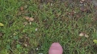 British lad has a piss in public