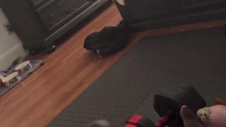 🐯 VERBAL MORNING NUT💦 🐯