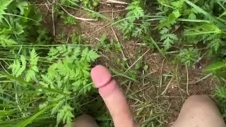 In the forest