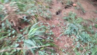 Senderista Se Saca la Polla Buscando Setas🍄y Descarga Se Semen En Una De Ellas