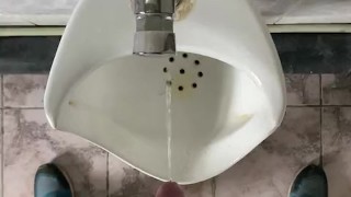 Pissing in a public toilet POV