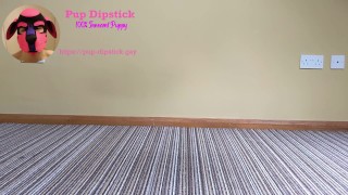 Dipstick: Tunnel Plug Play