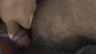 Raw harcore fucking and talking dirty to my boyfriend