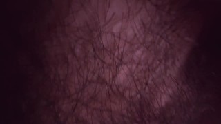 Suck dick through glory hole / POV