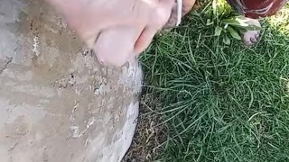 Wet outdoor part 2