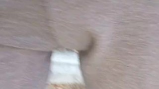 Сильно захотела писать