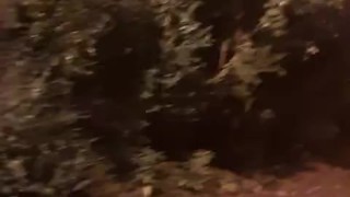 Gay Public Solo Masterbation in the Park