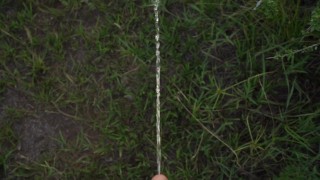 hairy natural girl on the meadow