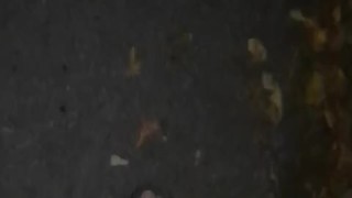 Late Night Solo Masterbation at Trail Access w/ Cumshot