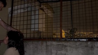 Sexo oral con vecina en el balcón del edificio