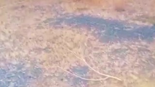 straight man on duty sends a hot video to his girlfriend in the bush