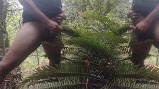 Cum on guys 2- Cum on a fern. What else would you like to see me cum on