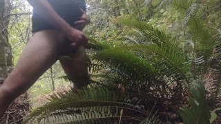 Cum on guys 2- Cum on a fern. What else would you like to see me cum on
