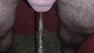 Morning piss outside