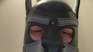 Cute pup sucks your big white cock and gags a little POV