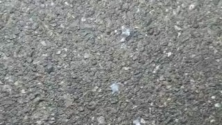 Teenage Boy Squirts His Huge Load Outdoors