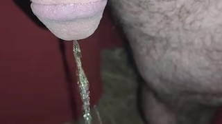 Short 6am pee outside