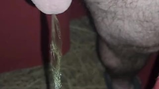 Short 6am pee outside