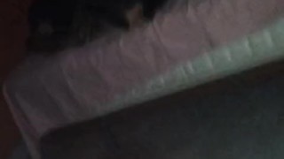 Rico joven versátil con gordo latino