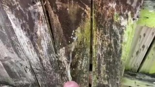 Pissing outside with a boner a few times last summer
