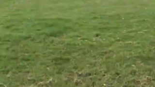 Jerking off my little dick by the road in Somerset countryside