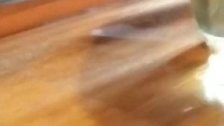 peeing in a lemonade bottle because the bathroom was occupied