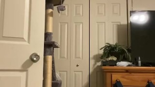 Voyeuristic Anal Virgin Twink Plays With His Cut Cock While Getting Dressed