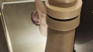 T-Rex, Boss Hogg and Crackers the Cockatrice part Nr.2