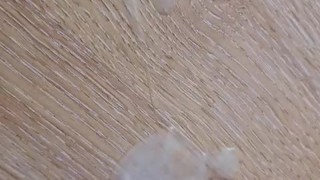 SPUNKING ON THE OFFICE DESK
