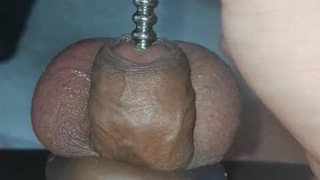 拘束阳具和睾丸插尿道棒