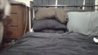 First video - just a quick stroke on the cock