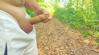 Three ruined cumshots in a public park (I hate insect)