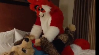 Hot Lynx Ride 😺