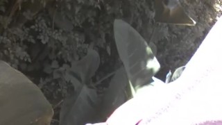 HE DECIDED TO PEE IN THE PUBLIC...ALMOST CAUGHT BY GIRLS