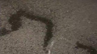 I thought you might like to see my cock while I piss 💦💦