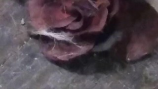 Twink gaming fucked with toy